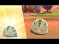 [LIVE] Shiny Swinub via Masuda Method after 979 eggs in Pokemon Sword !