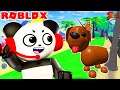 Adopt Me 2 Let’s Play Overlook Bay in Roblox! Let’s Play with Combo Panda