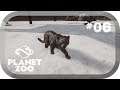 Planet Zoo ➤ #06 Viele kleine Tierbabys *PC/HD/60FPS/DE*