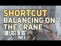 Balancing on the Crane The Shortcut The Last of Us 2
