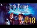 Harry Potter und der Gefangene von Askaban #18 "Duell in der Nacht" Let's Play GameCube Harry Potter