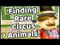 Harvest Moon Animal Parade Gameplay - Finding Circus Animals & Animal Festival!