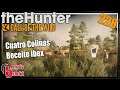 The Hunter Call of the Wild ★ Wildschein - Beceite Ibex & Wolfsangriff [228] Let's Play Deutsch