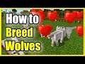 How to BREED Wolves and Dogs in Minecraft & Make Babies (Easy Method!)