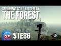THE FOREST (S1E36) ✪ Erkundungstour N°1 ✪ Let's Play THE FOREST #letsplay #theforest #survival