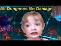 All Dungeons Damageless