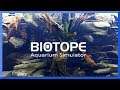 BioTope Aquarium Simulator Gameplay | Early Access