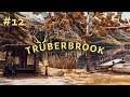 Let's Play Trüberbrook #12 - das uninteressanteste Finale ever?