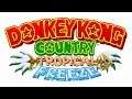 Mountaintop Tussle - Donkey Kong Country: Tropical Freeze Music Extended