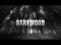 Darkwood #2