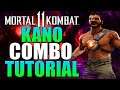 Mortal Kombat 11 Kano Combo Tutorial Daryus P