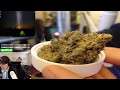 35.76% THC 🔴 Weed Reviews Strain: Kush Cake by Ember Valley 🌳 Smoking With KingBong 🔴 Wasabi !!!