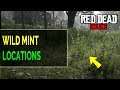 Red Dead Online Wild Mint Locations