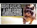 Como CAZAR a los LINCES 🐺 ANIMAL LEGENDARIO 🐺en ASSASSIN'S CREED VALHALLA GUIA 🐺 Localización y TIPS