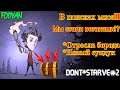 |DontStarve|LetsPlay#2|В поисках мяса.