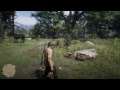 Let's Play Red Dead Redemption 2 - It begins Part 3
