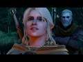 Let's play The Witcher 3 (Death March, P204) - The worst heist