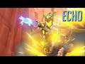 [Level 11317] Echo's Energetic Engagements Eliminating Enemies Everywhere! (16/06/2020)