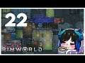 Qynoa plays RimWorld #22