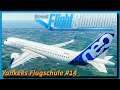 A320 NEO ABSTÜRZE und Experimente ► Yankees Flugschule | Flight Simulator 2020 [s1e14]