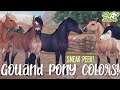 Gotland Pony Coat Colors 😱 | Sneak Peek | Star Stable Online