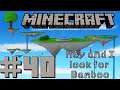 Let's Play Minecraft - 40 - May and I look for Bamboo
