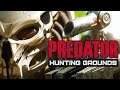 Predator Hunting Grounds - Dia da Caça e do Predador!!! [ Multiplayer - PC - Gameplay 4K ]