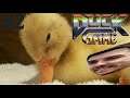WHY DUCKS WHY - Duck Game PART 2