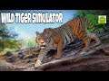 Wild Tiger Simulator - Animal Hunting Life Game -  for Android