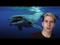 Man With A Fear of the Ocean Reacts to 5 Mysterious Sea Creature Encounters