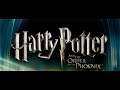 TROUBLE WITH THE TWINS ~ Harry Potter and the Order of the Phoenix #9