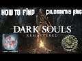 Dark Souls Remastered | How to get Chloranthy Ring