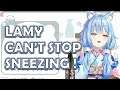 Lamy Can't Stop Sneezing 【HOLOLIVE】【ENG SUB】