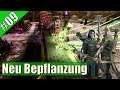 Neu Bepflanzung #9 Total War Warhammer II (Waldelfen)