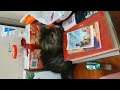 Old Tabby The Maine Coon Cat Video : Tabby The Maine Coon Cat Can Find His Stuff Things