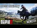 RDR2 - [Cross Country] testando o cavalo nokota!  Red Dead Redemption 2
