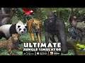 🦥Sloth VS Tiger, Lion, Hippo, Elephant Gorilla Chimp Leopard Panda Snake Part 1