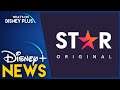 “Star Originals” To Release Weekly On Disney+ | Disney Plus News