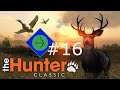 Why Are There So Many WHITETAIL DEER?! | theHunter: Classic #16