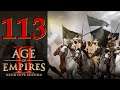 Прохождение Age of Empires 2: Definitive Edition #113 - Пересечение Пиренеев [Тарик ибн Зияд]