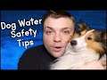 Dog Water Safety Tips | Important Dog Information | MumbleVideos Pupdate