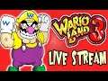 BEST WARIO GAME EVER! - Wario Land 3  | Road To 3k Subs