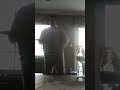 one was Johnny by Carole King . dan's dance video .