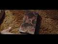 Rainbow Six Siege Doktors Curse 2021 Teaser Trailer PS4
