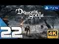 Demon's Souls I Capítulo 22 I Let's Play I Ps5 I 4k