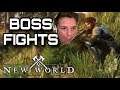 EARLY BOSS FIGHTS with A SQUAD - New World
