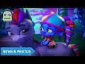 Cat Quest 2 Review - Best Friends Furever...