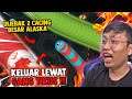 Di Jebak Cacing Besar Alaska?!😭 Keluar Lewat Celah Ini!! - Wormate.io Indonesia