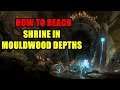 How to reach Shrine in Mouldwood Depths Ori and the Will of the Wisps (Shard Slot Upgrade)