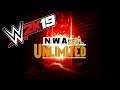 WWE2K19 - NWA Unlimited